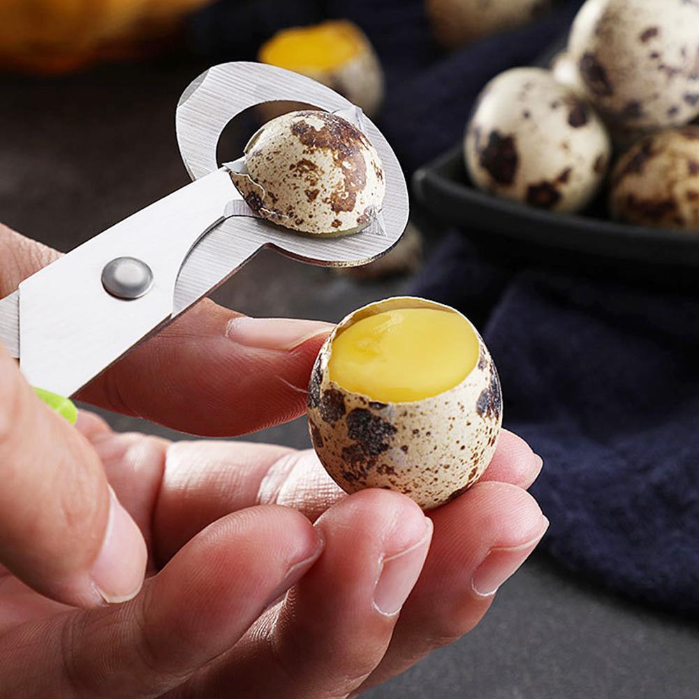 Egg Separator Tool - Taube Wachtel Offene Riss Kleine Eierschale