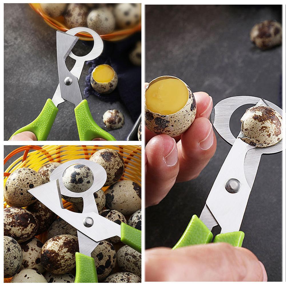 Taube Wachtel Offene Riss Klei – Egg Separator Tool Bewertung und Preis